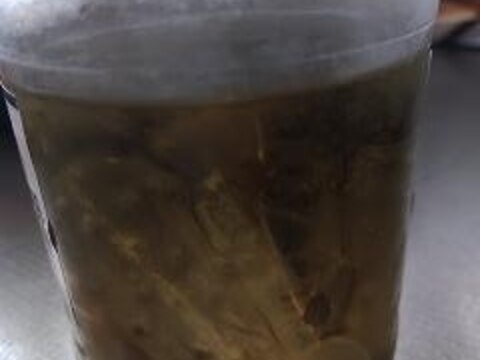 ミニきゅうりのピクルス